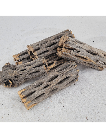Ecorce de Chola 7-8cm diam 2cm