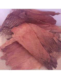 Ecorce de Palmier Bakla Marron +-100gr