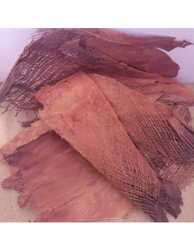 Ecorce de Palmier Bakla Marron +-100gr