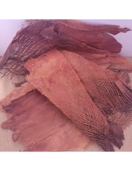 Ecorce de Palmier Bakla Marron +-100gr