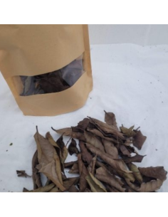 Feuille de Goyave noir +/-10gr sous kraft