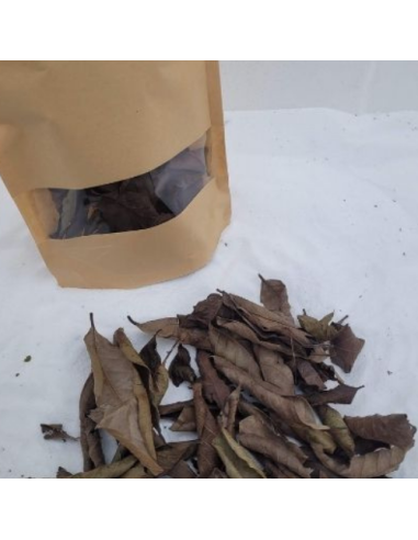 Feuille de Goyave noir +/-10gr sous kraft