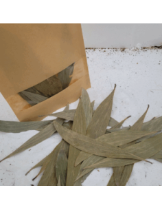 Feuilles d'eucalyptus +/-10gr sous kraft