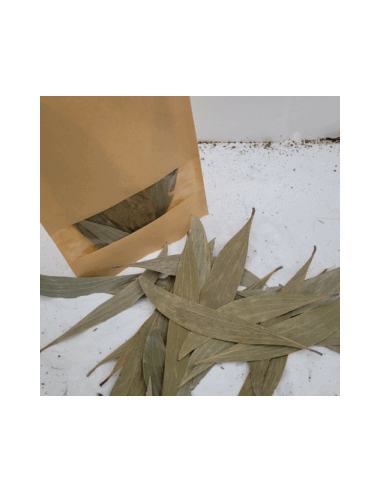 Feuilles d'eucalyptus +/-10gr sous kraft