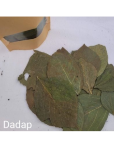 Feuilles de Dadap +/-10gr sous kraft