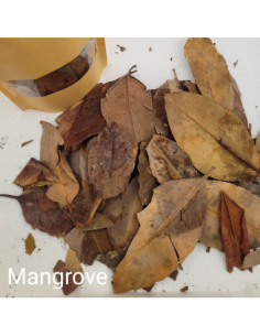 Feuilles de Mangrove +/-10gr sous kraft