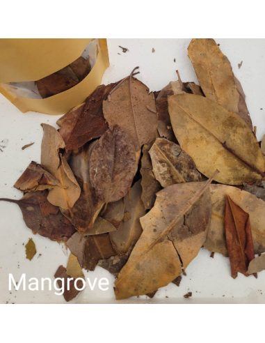 Feuilles de Mangrove +/-10gr sous kraft