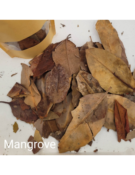 Feuilles de Mangrove +/-10gr sous kraft