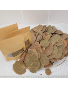 Feuilles de Moneta +/-10gr