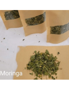 Feuilles de Moringa +/-5gr sous kraft