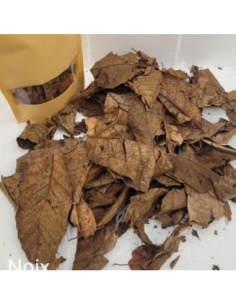 Feuilles de Noyer +/-10gr sous kraft