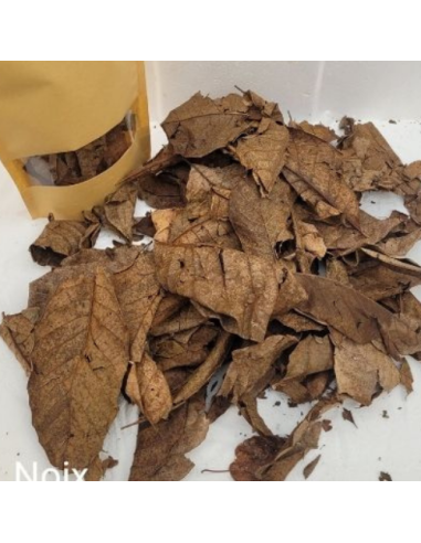 Feuilles de Noyer +/-10gr sous kraft