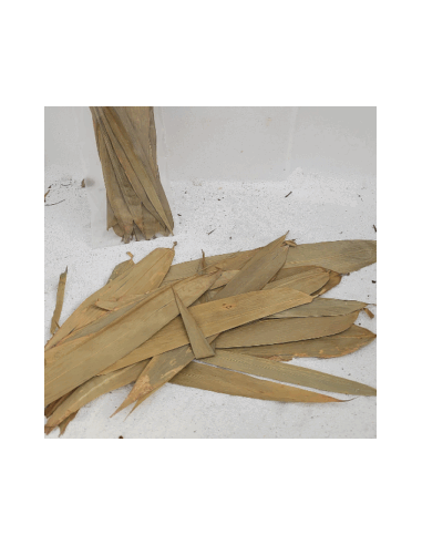 Feuilles de bambou +/-10gr (Fargesia nitida)