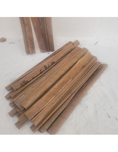 Feuilles de cocotier +/-10gr sous kraft (cocos nucifera)