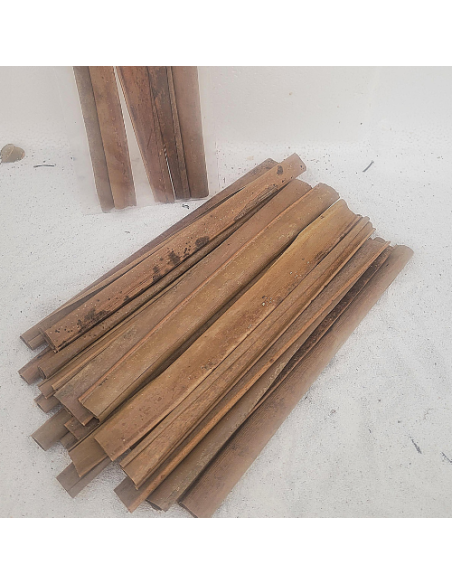 Feuilles de cocotier +/-10gr sous kraft (cocos nucifera)