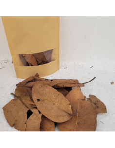 Feuilles de figuier d'Inde (Ficus benghalensis +/-10gr sous kraft
