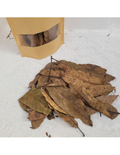 Feuilles de mangiuer +/-10gr sous kraft
