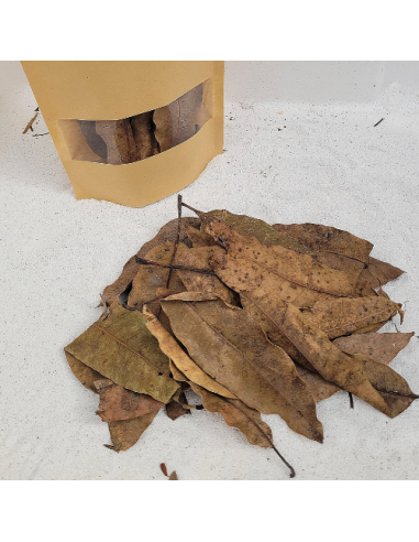 Feuilles de mangiuer +/-10gr sous kraft
