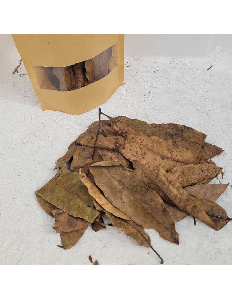 Feuilles de mangiuer +/-10gr sous kraft