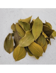 Feuilles de quina (Strychnos pseudoquina) 10gr sous kraft