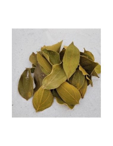 Feuilles de quina (Strychnos pseudoquina) 10gr sous kraft