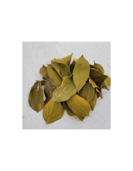 Feuilles de quina (Strychnos pseudoquina) 10gr sous kraft