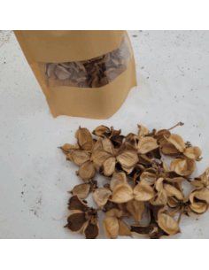 Fleurs de coton +/-25gr sous kraft