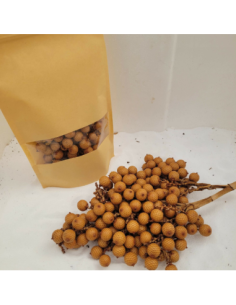 Fruit du palmier à rottin (Calamus rotang) +/-100gr sous kraft