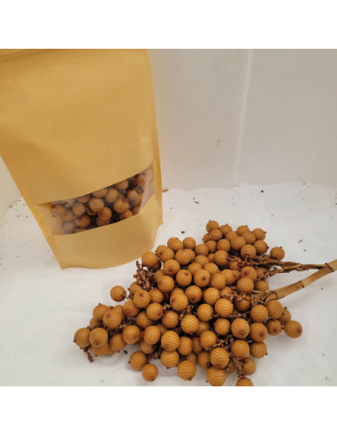 Fruit du palmier à rottin (Calamus rotang) +/-100gr sous kraft