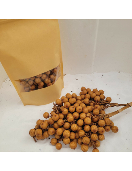 Fruit du palmier à rottin (Calamus rotang) +/-100gr sous kraft