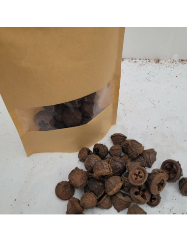 Gousses d'eucalyptus +/-50gr sous kraft