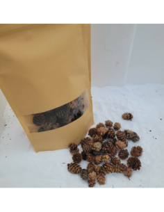 Mini pomme de pin +-50gr sous kraft