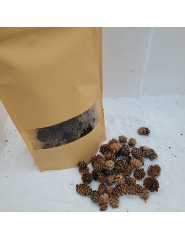 Mini pomme de pin +-50gr sous kraft