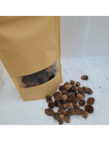 Mini pomme de pin +-50gr sous kraft