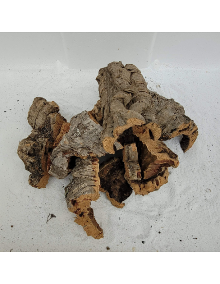 Mix liège Morceaux XS 100gr