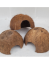 Noix de coco 1/2 Vertical avec ecorce
