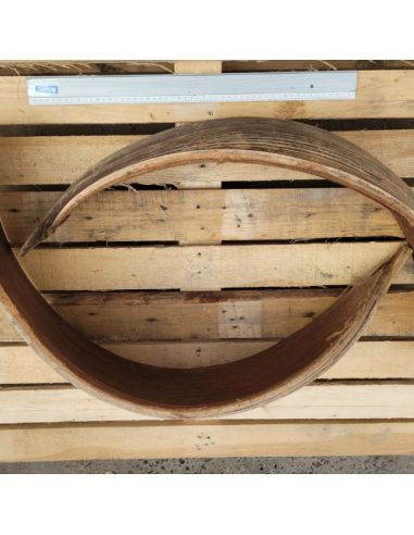 Spathes de cocotier XL 50-60cm