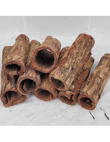 Tube d'écorce de Catappa 10-15cm diam 3-4cm