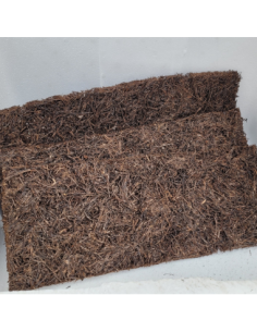 Xaxim 50x20x2cm