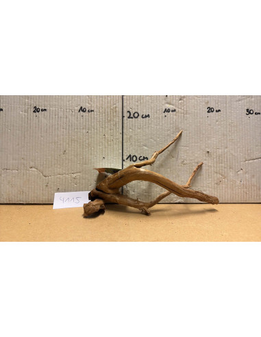 Racine Spiderwood S 21-30 CM  4115