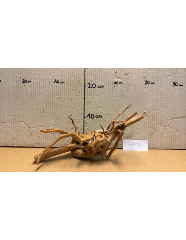 Racine Spiderwood S 21-30 CM  4114