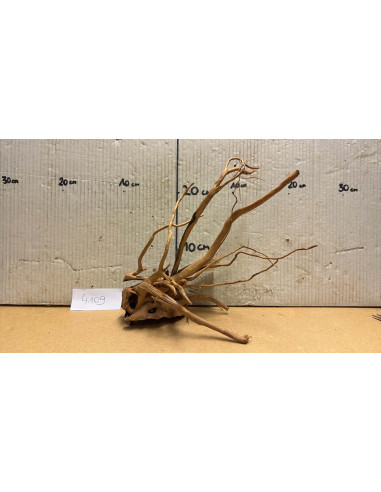 Racine Spiderwood S 21-30 CM  4109