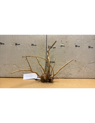 Racine Spiderwood S 21-30 CM  4110