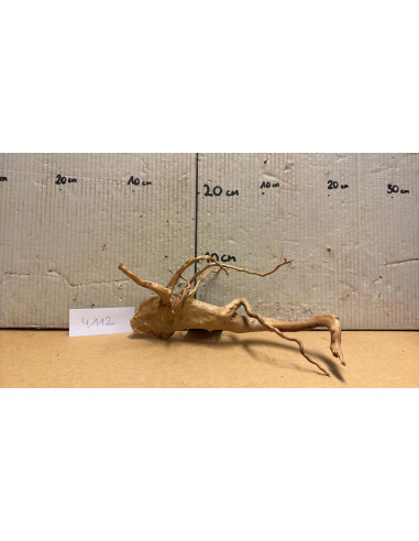 Racine Spiderwood S 21-30 CM  4112