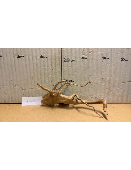 Racine Spiderwood S 21-30 CM  4112