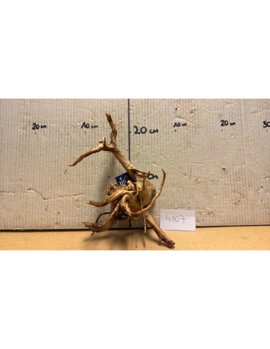 Racine Spiderwood S 21-30 CM  4107
