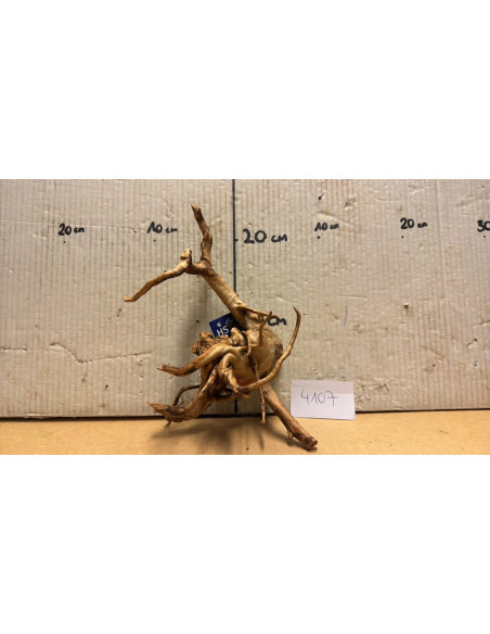 Racine Spiderwood S 21-30 CM  4107