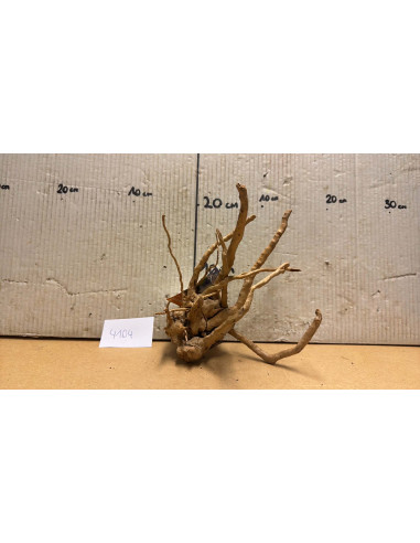 Racine Spiderwood S 21-30 CM  4104