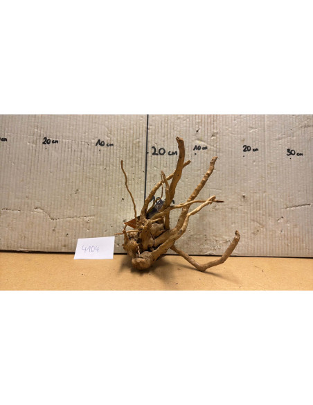 Racine Spiderwood S 21-30 CM  4104
