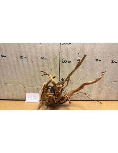 Racine Spiderwood S 21-30 CM  4102
